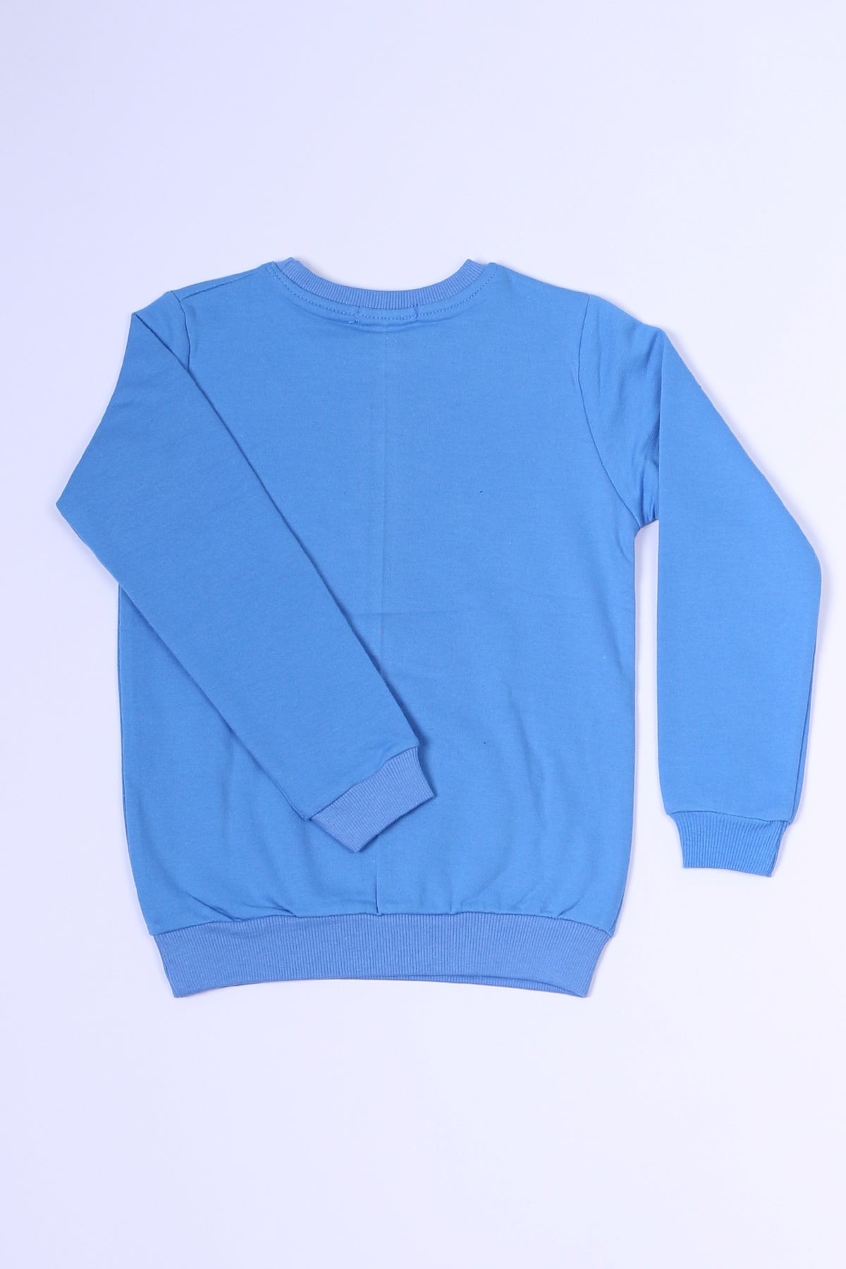 ERKEK ÇOCUK SWEAT DİNOZOR BASKILI RİBANALI C54